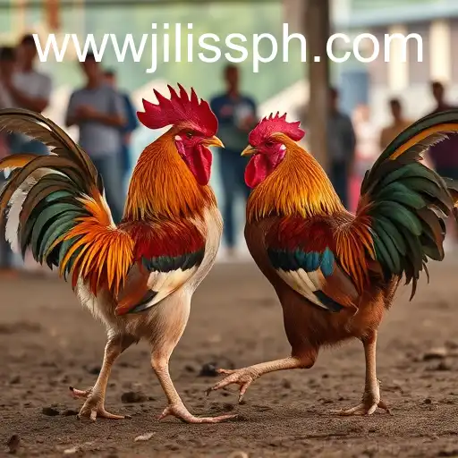 The Controversial World of Cockfighting and Its Connection to JILISS